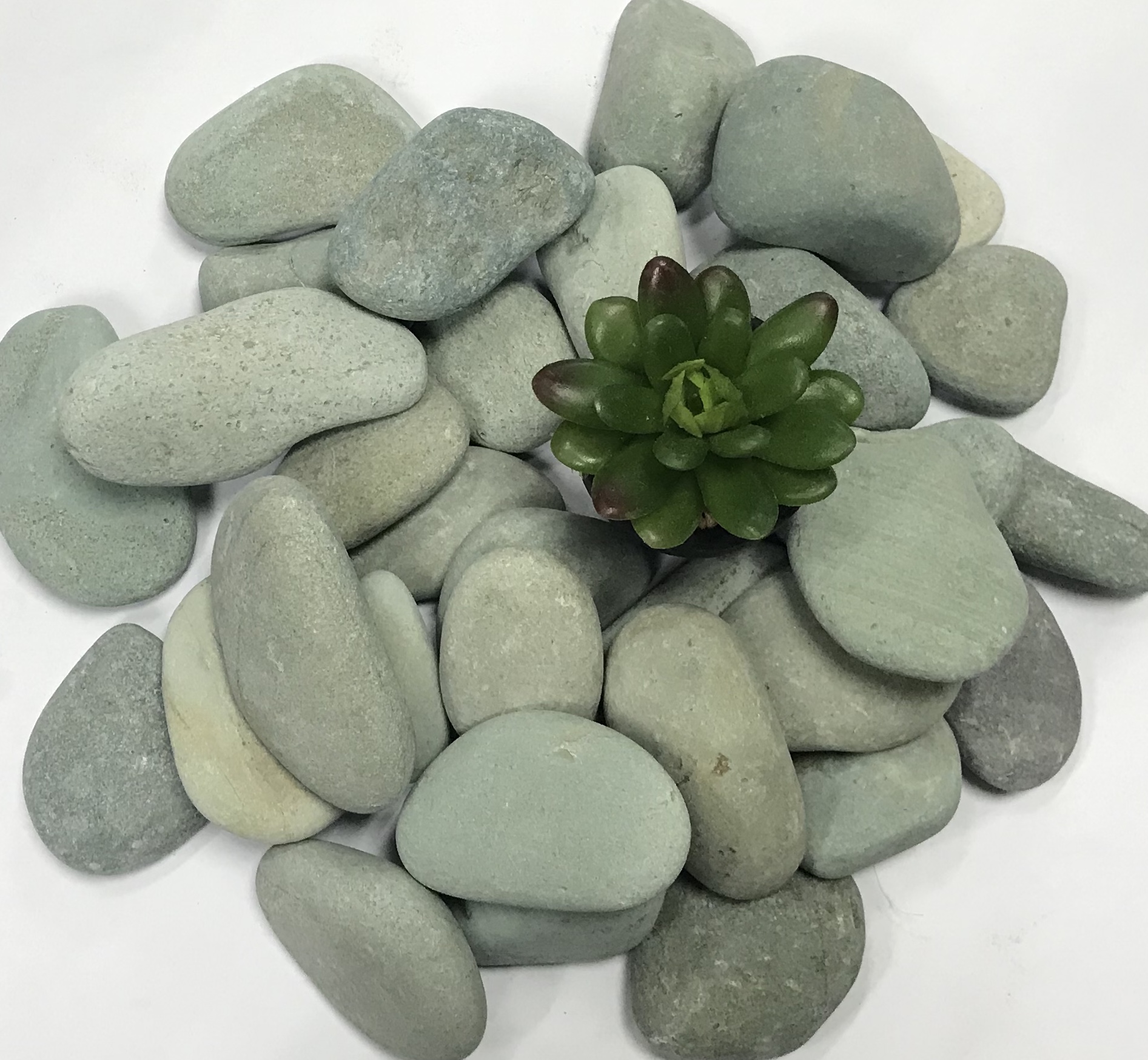 Green Pebble Stone 20kg All Stone Related Items Provider Singapore